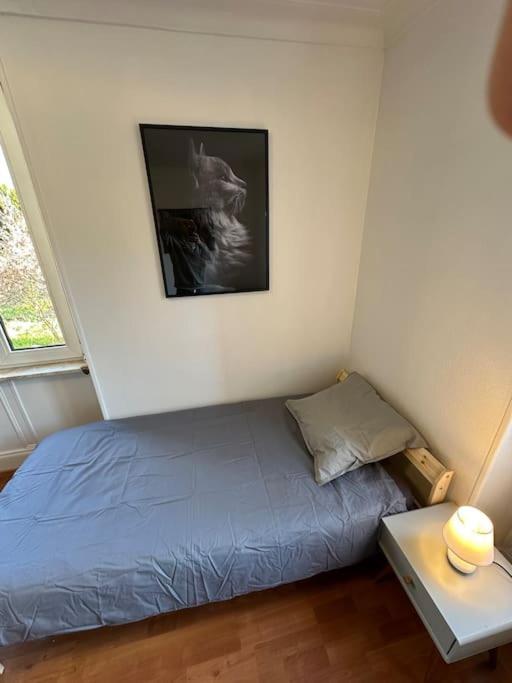 Magnifique Appartement F3. 4 A 6 Personnes Lutterbach Exterior foto