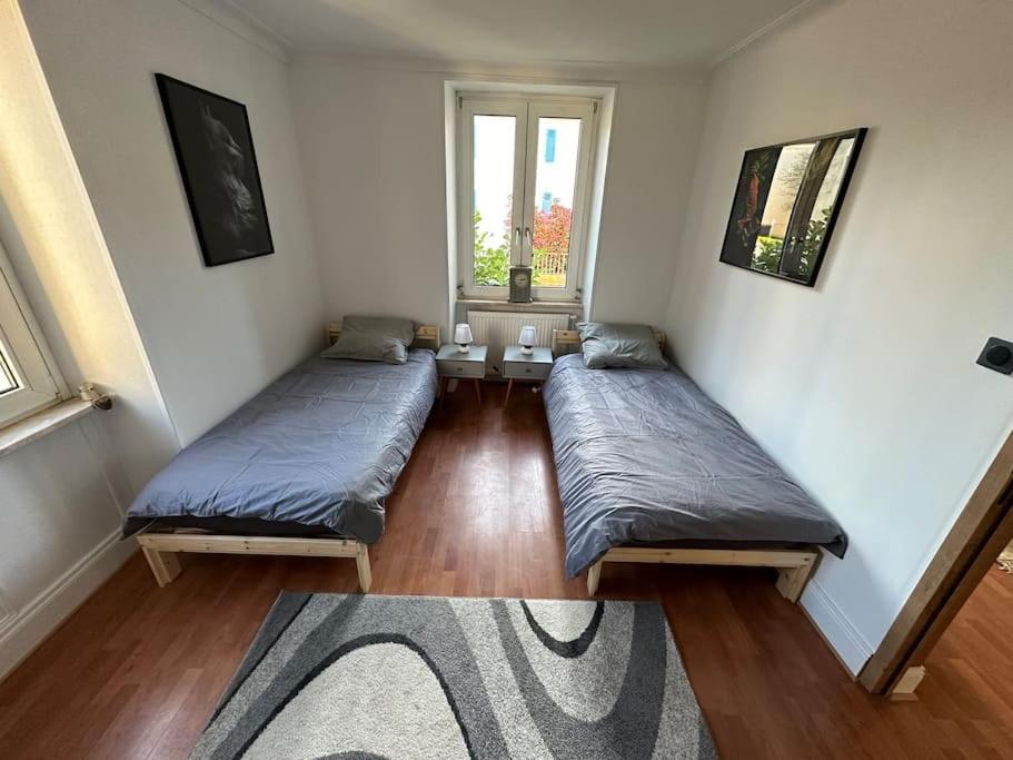 Magnifique Appartement F3. 4 A 6 Personnes Lutterbach Exterior foto